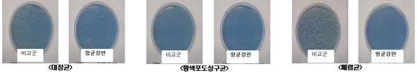 포스코강판 항균컬러강판은 황색포도상구균, 대장균에 폐렴균까지 추가로 항균성을 인증 받아 더욱 안전하고 위생적인 제품을 개발했다. (사진=포스코강판)