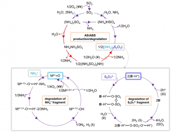 피독물(AS-ABS) 생성 및 분해기작. (출처=KIST)