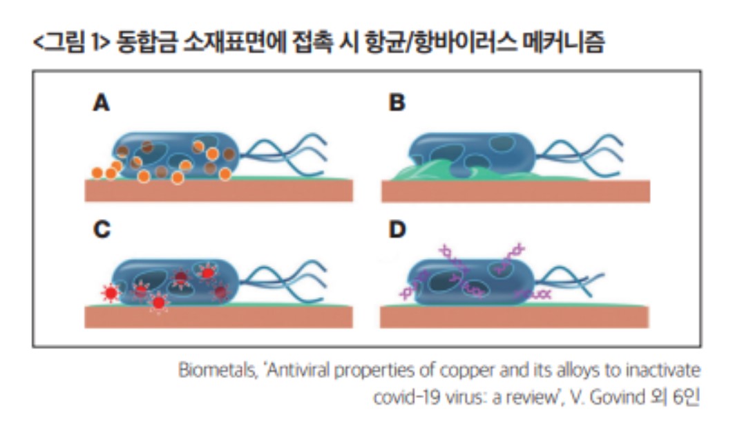 항균동의 화학적 메커니즘(자료: 풍산 소재기술연구원)
