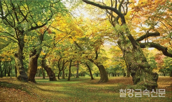 안정환-고요한 가을 숲, 197x333cm, Oil on Canvas, 2019-2022.(사진=포스코)