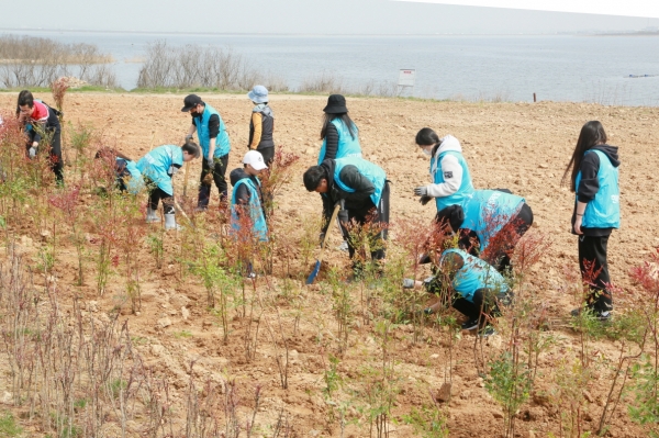 해피프리즘 가족봉사단 남천나무 식재 활동 사진./ 현대제철 제공