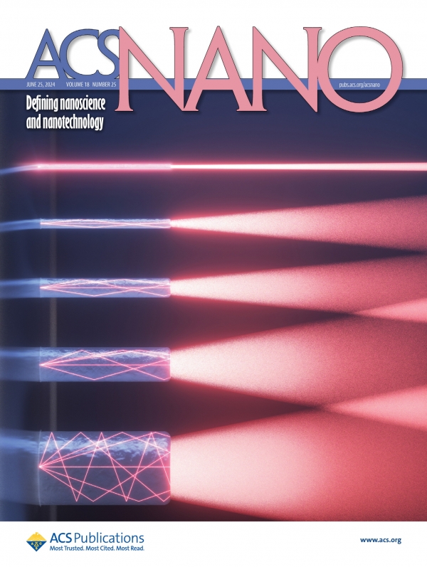 KERI의 3D프린팅 기반 '나노 구조의 발광 패턴 규명' 연구결과가 ACS Nano의 표지논문으로 게재됐다. (사진=전기연구원)