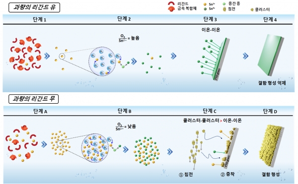 고품질 SnO2 박막 합성을 위한 과잉 리간드 전략 메커니즘. (출처=한국연구재단)