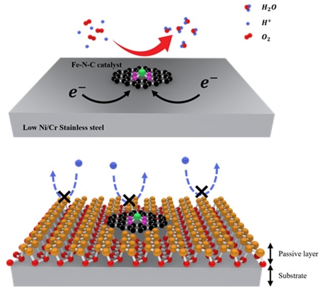 철-질소-탄소(Fe-N-C) 촉매 코팅을 통한 산화 피막 형성 촉진 메커니즘