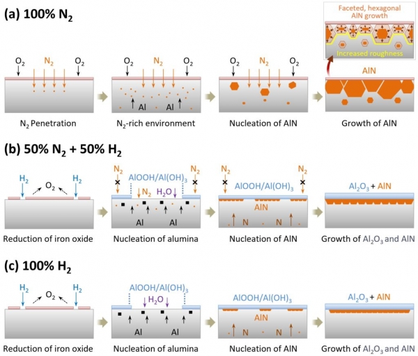 열처리 대기 환경이 강판 시편 미세 구조 형성에 미치는 영향 분석. (사진=UNIST)
