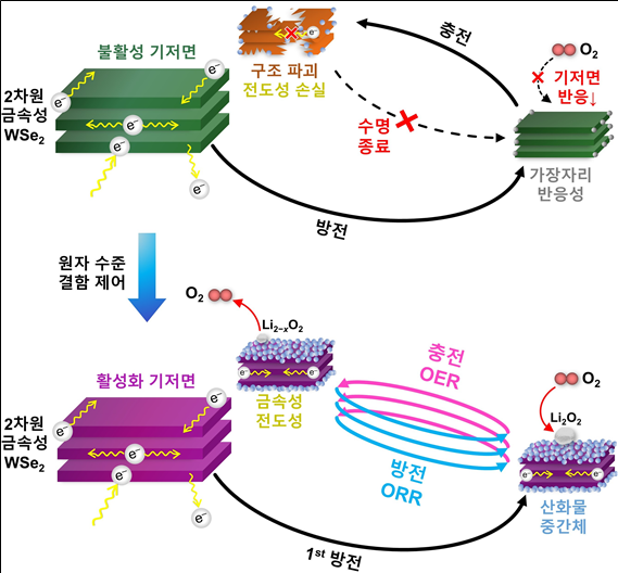2차원 금속성 WSe2 소재의 기저면 활성화 및 촉매 반응 메커니즘. (출처=KIST)