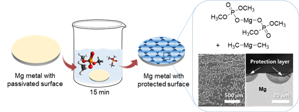 단순 침지 공정을 통한 마그네슘 음극의 보호층 형성 과정과 수분을 물리적·화학적으로 포획·제거하는 기능성 물질이 포함된 보호층의 구조 모식도. (출처=KIST)