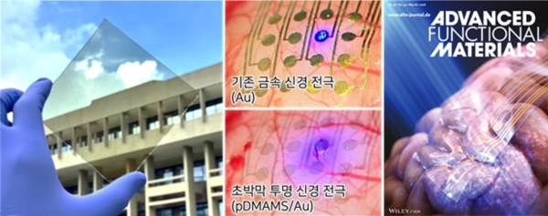 대면적-초박막 투명 신경 전극. 투명 전극의 실물 사진(왼쪽), 기존 금속 신경 전극과 초박막 투명 신경 전극을 뇌 표면에 올려둔 비교사진(가운데), 그리고 표지 논문 이미지(오른쪽). (출처=KIST)