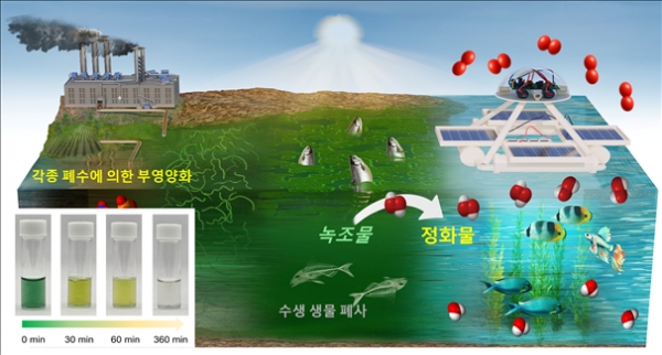 태양광 자율 운항 수질 정화 로봇 구동 모식도 및 녹조 제거 효과. (출처=KIST)